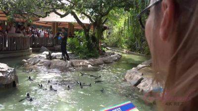 Virtual Vacation Singapore Moka Mora 3/6 - hotmovs.com - Usa - Singapore