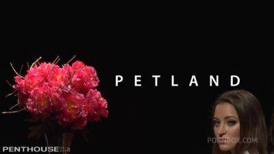 Penthouse Petland - Episode 3 - hotmovs.com