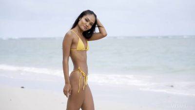 Perfect Beach - Lukpla - hotmovs.com
