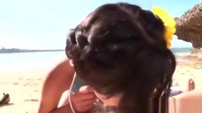 Big Tits Sucking Cock On The Beach - hotmovs.com