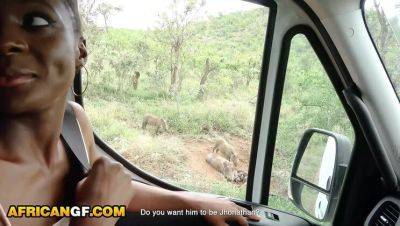 Steven Hard - Ebony Girl Deep Throats White Cock After Wild Safari Date - Rough Interracial Fuck - veryfreeporn.com