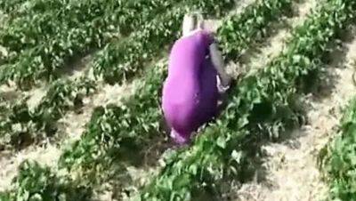 Blonde German Babe Sucks Cock After Strawberry Picking - Outdoor POV Fuck - xxxfiles.com - Germany
