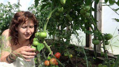 Hairy Country MILF Hera Harding Masturbates with Screaming Orgasm in Greenhouse - xxxfiles.com