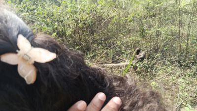 Step Brother Fucks Hot Indian Maid Laxi Ammu in Jungle Fantasy 4K - veryfreeporn.com - India