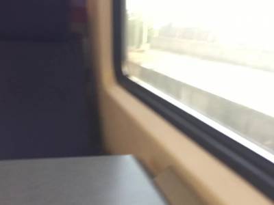 Risky ride in a dutch train without panties (PUBLIC PUSSY FLASHING) - youporn.com - Netherlands