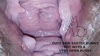 Bunny - Cute bbw bunny, but with a very open pussy - xvideos.com