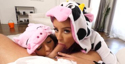 Asian temptresses tease with sloppy blowjobs and raunchy handjobs - alphaporno.com